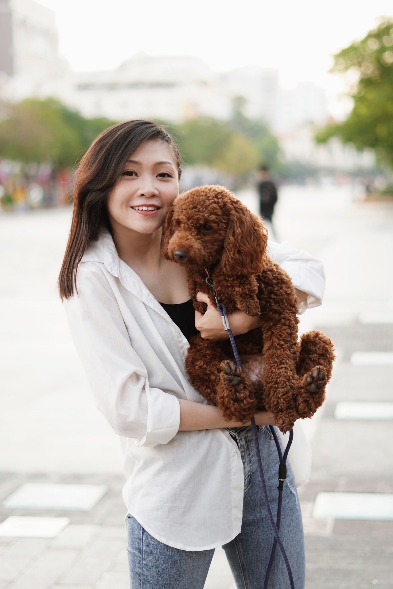The Wonderful World of Dogs
