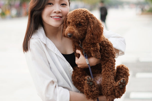 The Wonderful World of Dogs