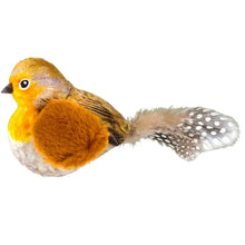 Interactive Bird Toy – Indoor Chasing and Teasing for Cats