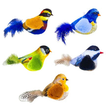 Interactive Bird Toy – Indoor Chasing and Teasing for Cats
