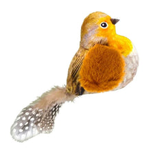 Interactive Bird Toy – Indoor Chasing and Teasing for Cats