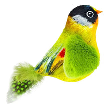 Interactive Bird Toy – Indoor Chasing and Teasing for Cats
