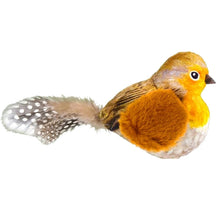 Interactive Bird Toy – Indoor Chasing and Teasing for Cats