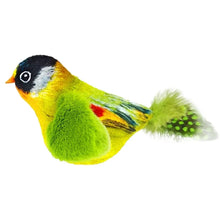 Interactive Bird Toy – Indoor Chasing and Teasing for Cats